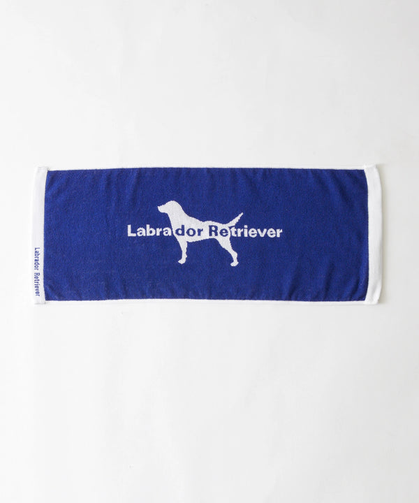 オーガニックコットンタオル