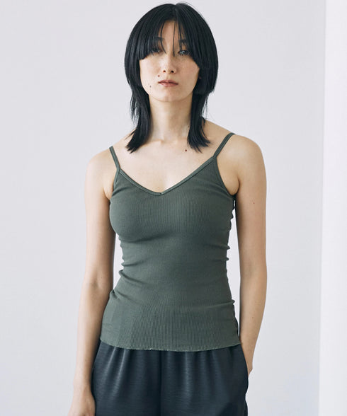 PALM22RIBBRACAMIBASIC