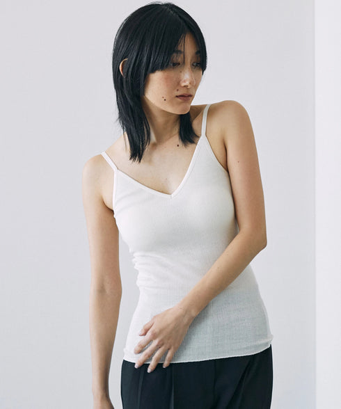 PALM22RIBBRACAMIBASIC