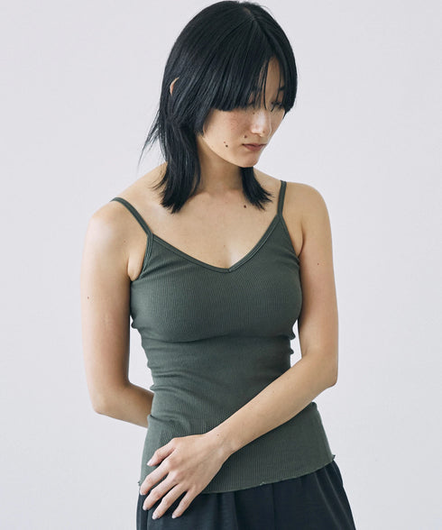 PALM22RIBBRACAMIBASIC