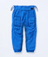 RIPSTOP FLIGHT PANTS