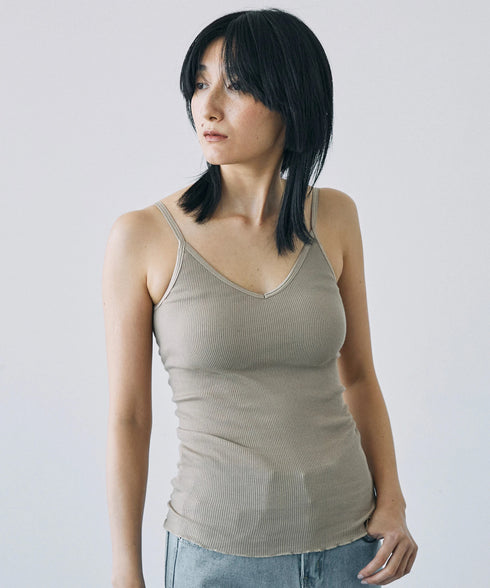 PALM22RIBBRACAMIBASIC