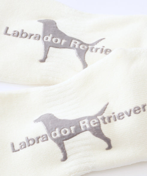 オーガニックコットンレディースフットカバー 洗濯ネットセット