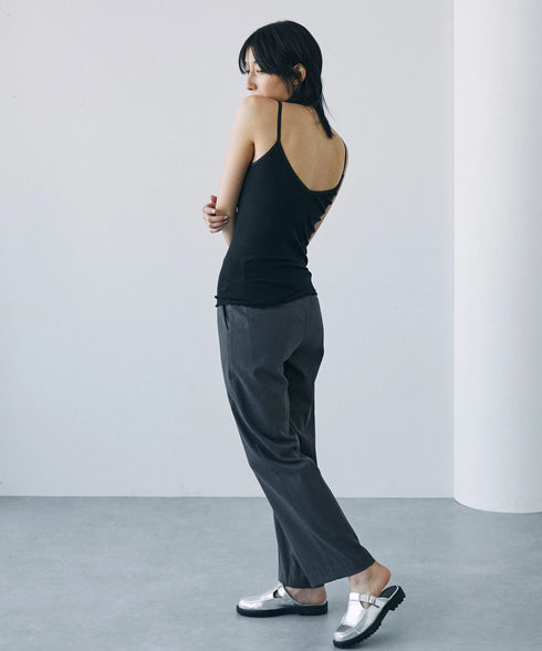 PALM22RIBBRACAMIBASIC