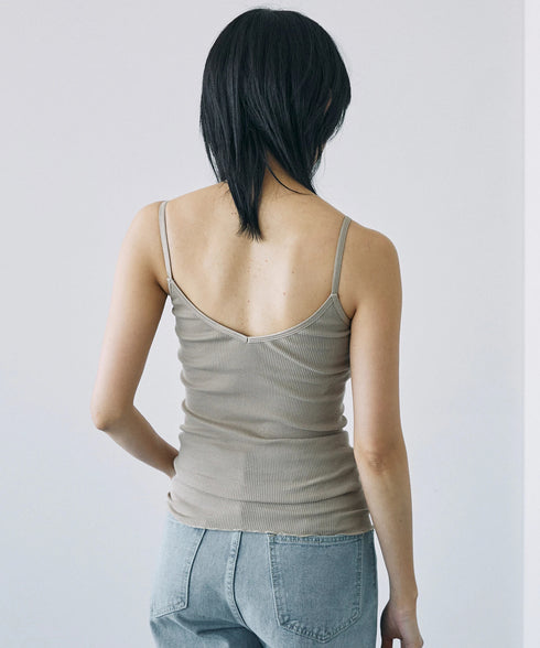 PALM22RIBBRACAMIBASIC