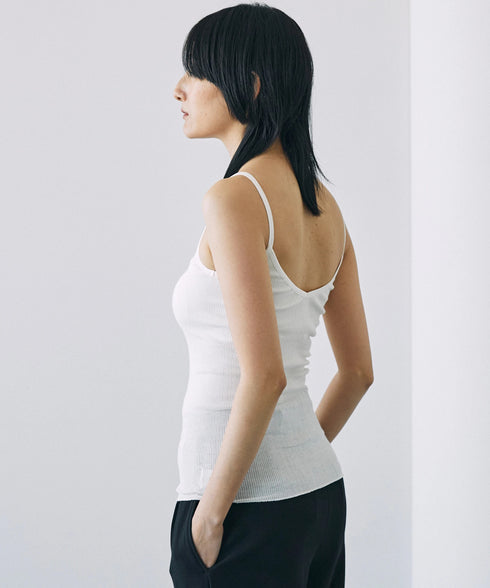 PALM22RIBBRACAMIBASIC