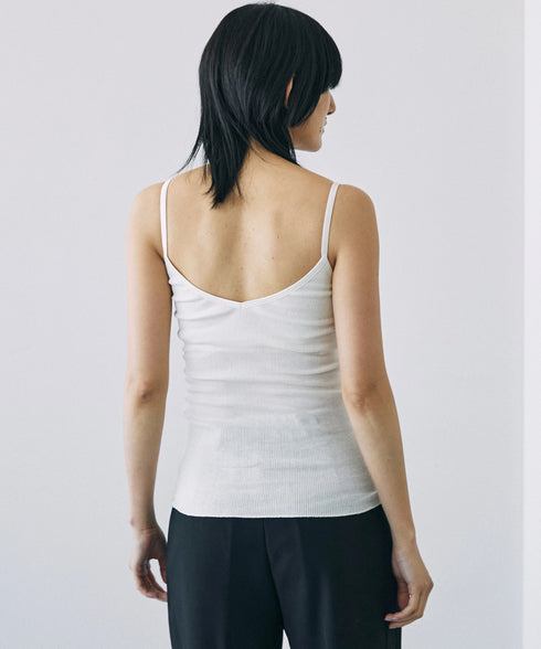 PALM22RIBBRACAMIBASIC