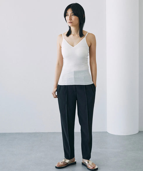 PALM22RIBBRACAMIBASIC