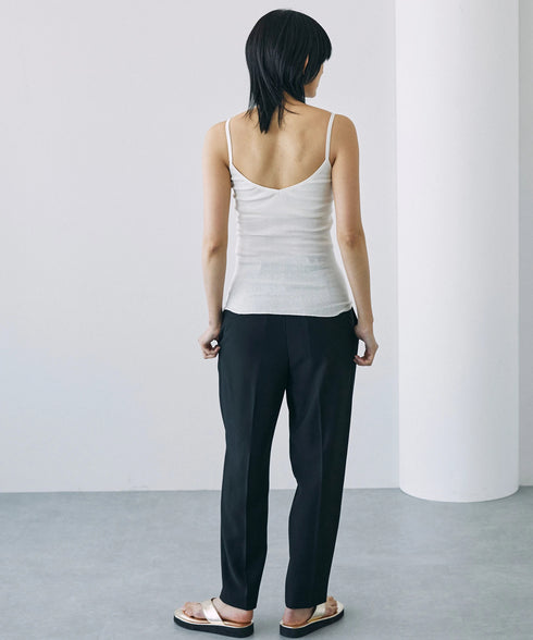 PALM22RIBBRACAMIBASIC