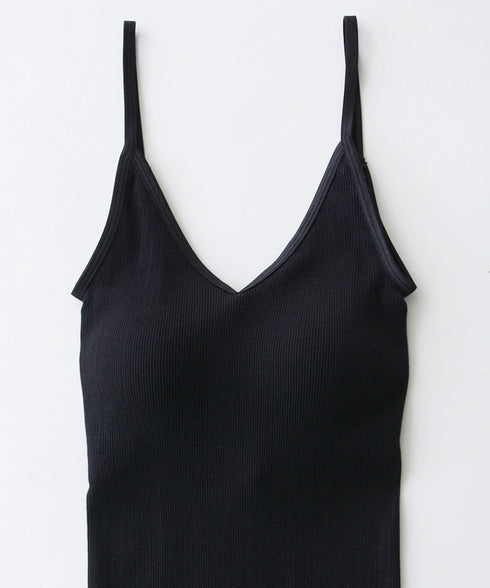 PALM22RIBBRACAMIBASIC