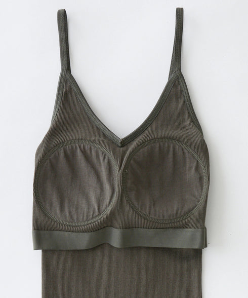 PALM22RIBBRACAMIBASIC