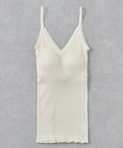 PALM22RIBBRACAMIBASIC