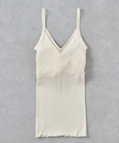 PALM22RIBBRACAMIBASIC