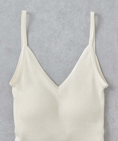 PALM22RIBBRACAMIBASIC