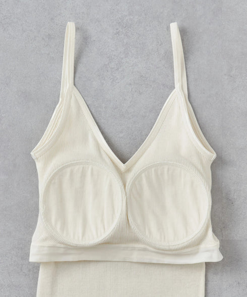 PALM22RIBBRACAMIBASIC