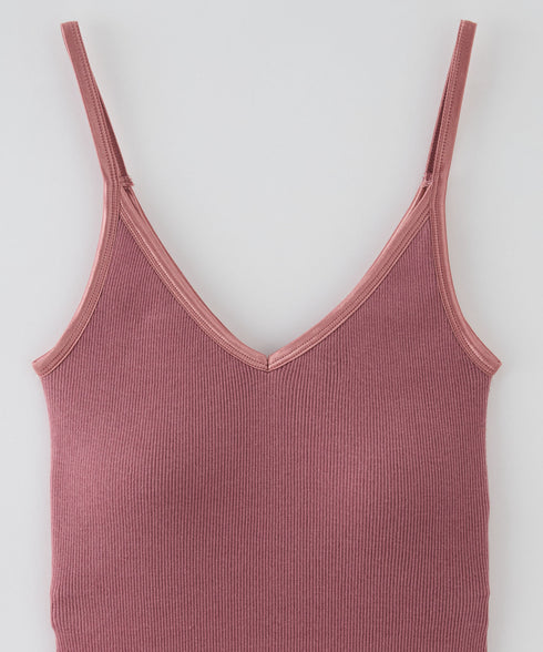 PALM22RIBBRACAMIBASIC