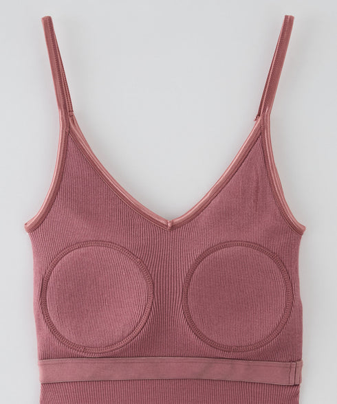 PALM22RIBBRACAMIBASIC