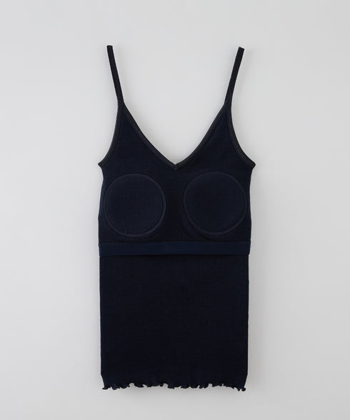 PALM22RIBBRACAMIBASIC