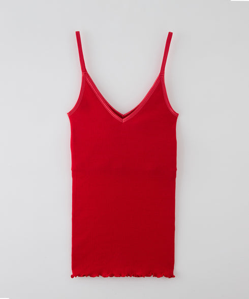 PALM22RIBBRACAMIBASIC