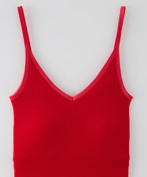 PALM22RIBBRACAMIBASIC