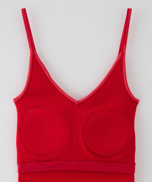 PALM22RIBBRACAMIBASIC