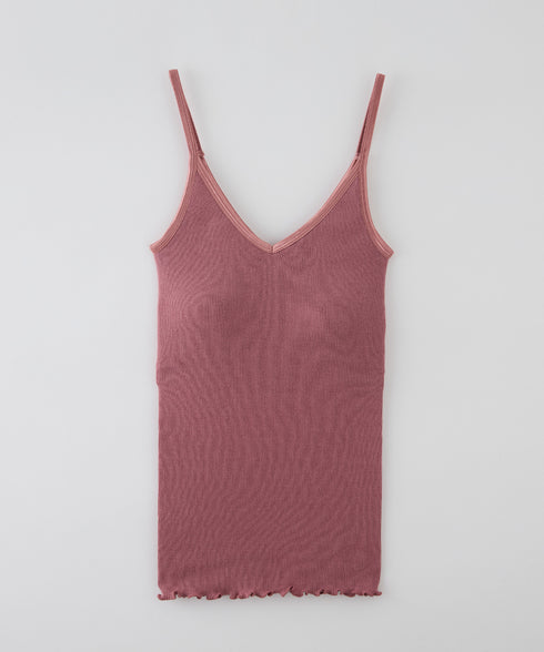 PALM22RIBBRACAMIBASIC