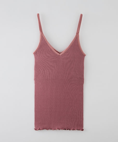 PALM22RIBBRACAMIBASIC