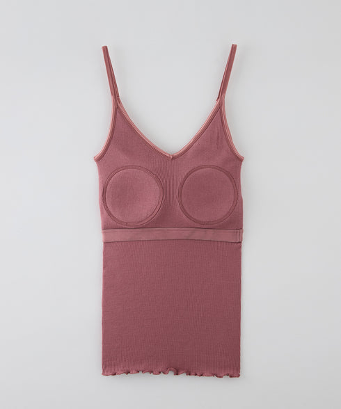 PALM22RIBBRACAMIBASIC