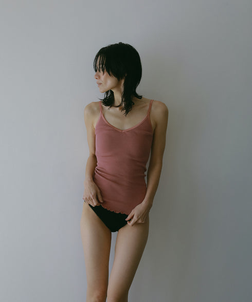 PALM22RIBBRACAMIBASIC