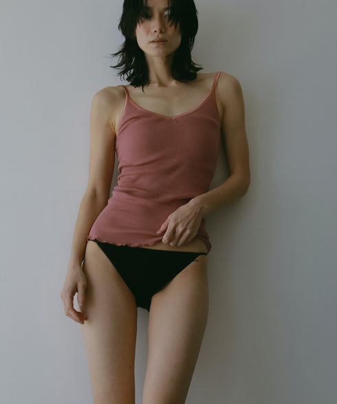 PALM22RIBBRACAMIBASIC