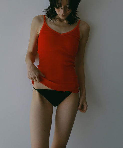 PALM22RIBBRACAMIBASIC