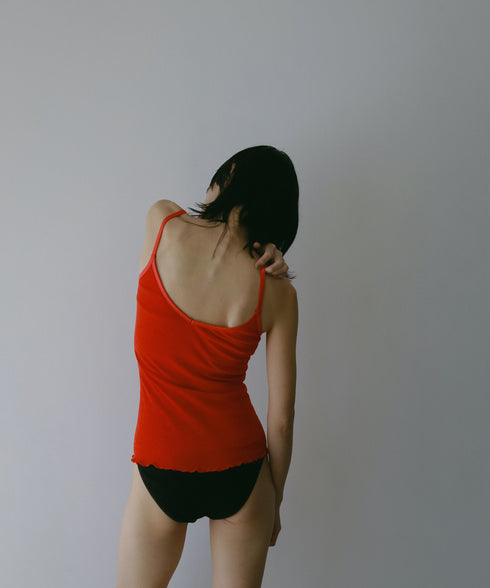 PALM22RIBBRACAMIBASIC