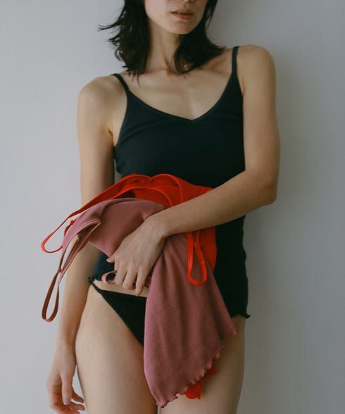 PALM22RIBBRACAMIBASIC