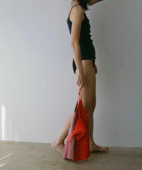 PALM22RIBBRACAMIBASIC