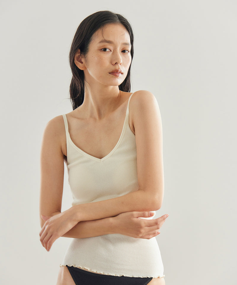 PALM22RIBBRACAMIBASIC